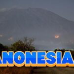 Kebakaran Hutan Lindung di Gunung Agung Terjadi, 104 Hektare Terdampak