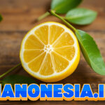 Lemon: Mitos dan Fakta Tentang Manfaatnya dalam Menurunkan Berat Badan