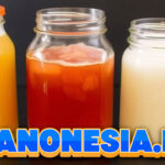 Kombucha dan Kefir: Minuman Fermentasi Alami untuk Pencernaan yang Lebih Sehat