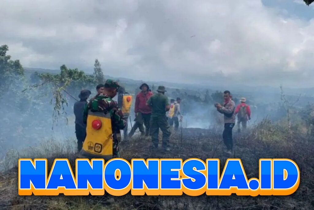 Kebakaran Hutan Gunung Rinjani Masih Belum Padam hingga Kamis Sore