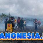 Kebakaran Hutan Gunung Rinjani Masih Belum Padam hingga Kamis Sore