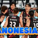 Klasemen Liga Voli Korea: AI Peppers Gagal Menyalip Red Sparks di Puncak